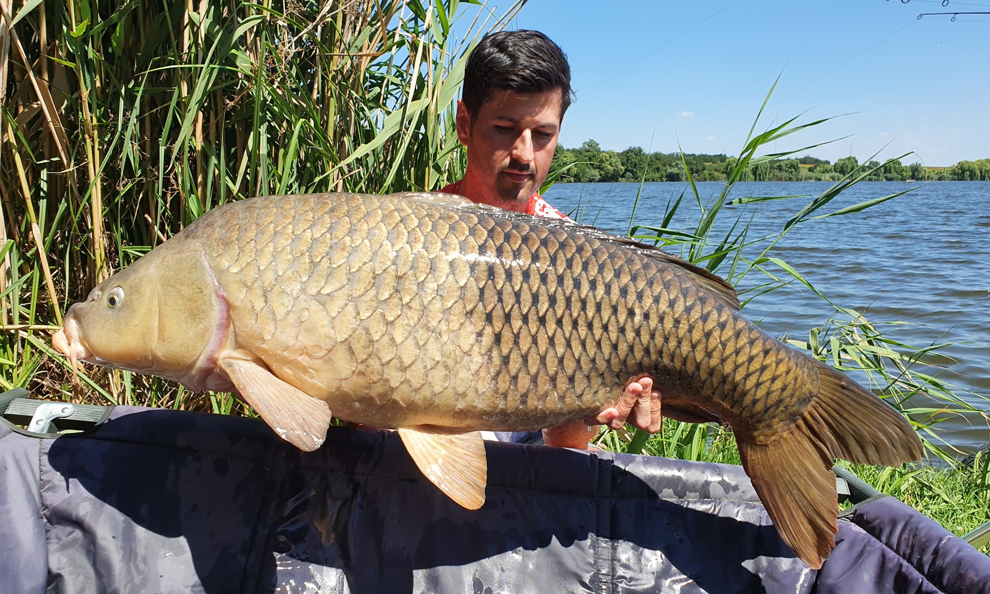 Tancabesti 9 - 12 iulie 2020 - 16.5 Black and white